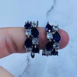 Luxury Blue Round Teardrop Earrings